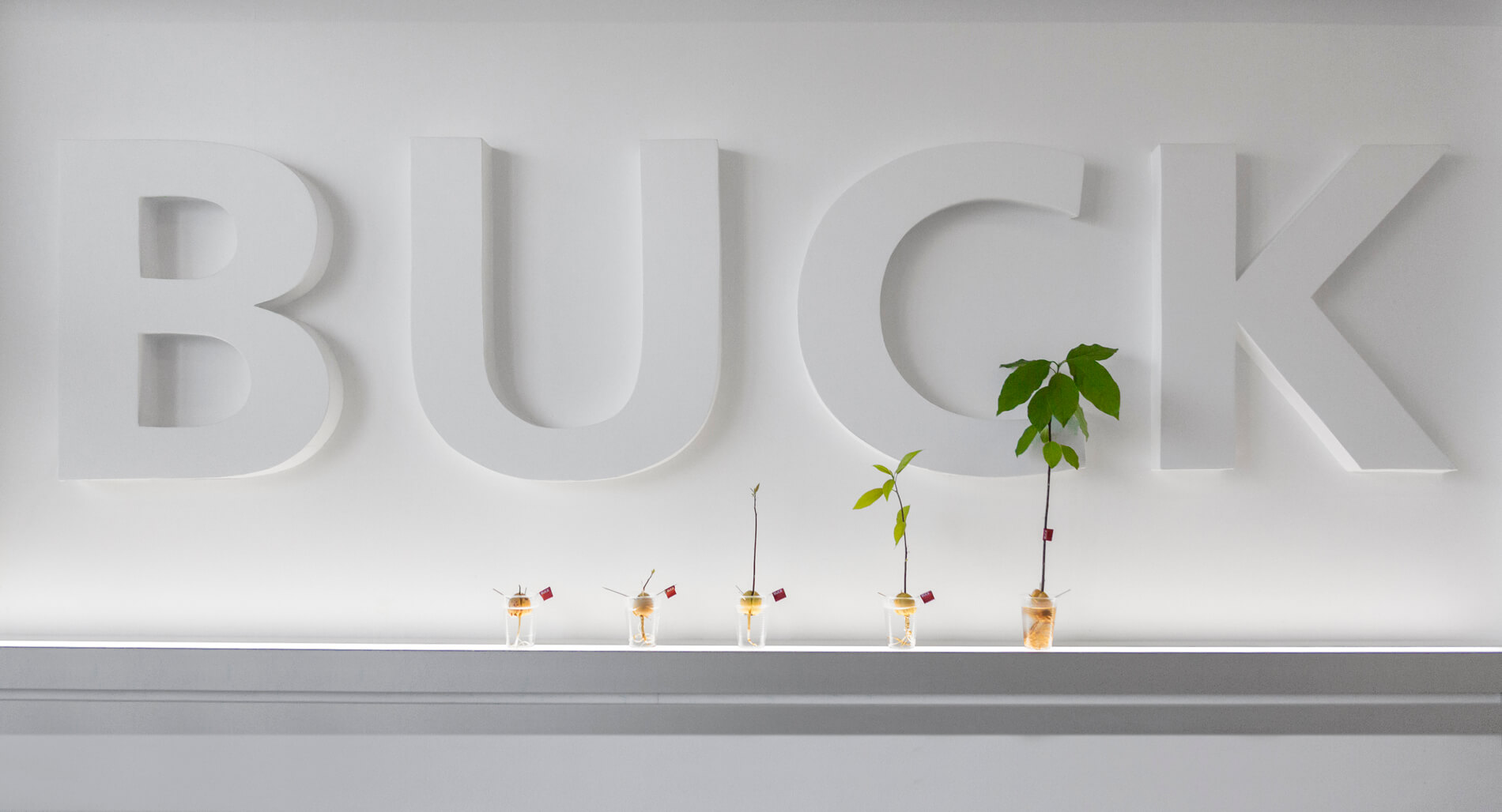 Career BUCK - Join our motivated team of professionals